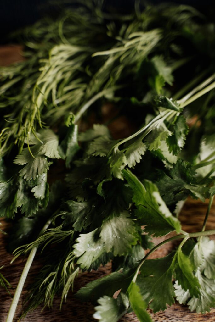 Fresh Herbs for Mediteranian Couscous