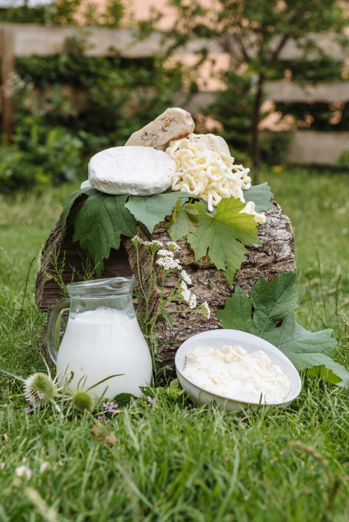 Goat Cheese in a Bowl and a Jar of Goat Milk