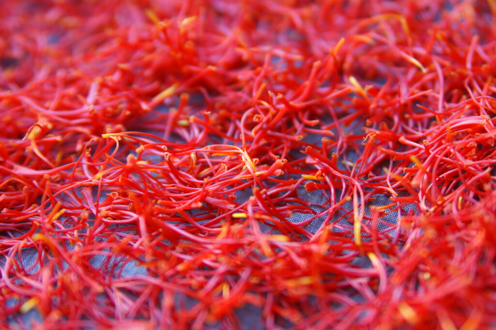 A Pile of Red Saffron on A Blue Background