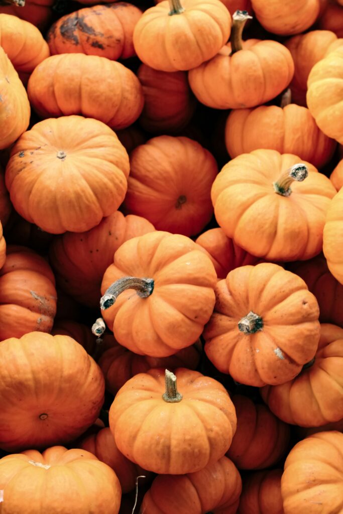 A Pile of Pumpkin