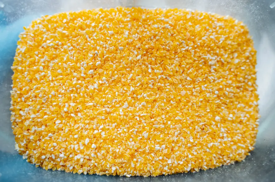 Close-up of yellow corn grits in a container.