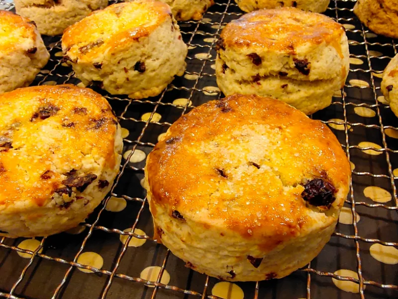 Golden-brown fruit scones with raisins, fresh from the oven, cooling on a wire rack.