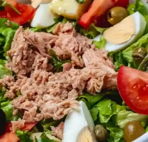 Close-up of classic tuna salad with lettuce, tomatoes, eggs, olives, and green beans