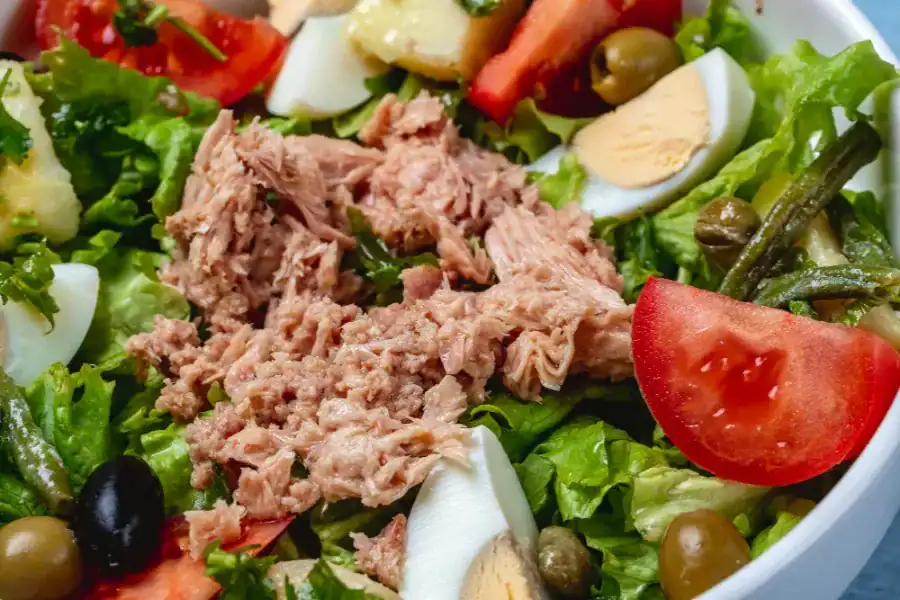 Close-up of classic tuna salad with lettuce, tomatoes, eggs, olives, and green beans