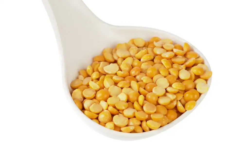 Close-up of dry yellow chana dal (split chickpeas) in a white spoon